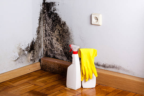 Best Crawl Space Mold Removal  in Trexlertown, PA